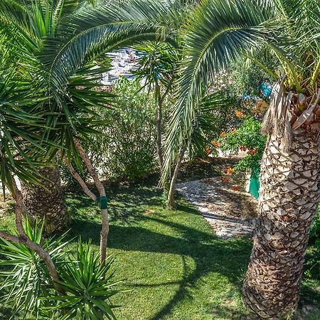 Olive Grove Apts Lithakia  Zewnętrze zdjęcie