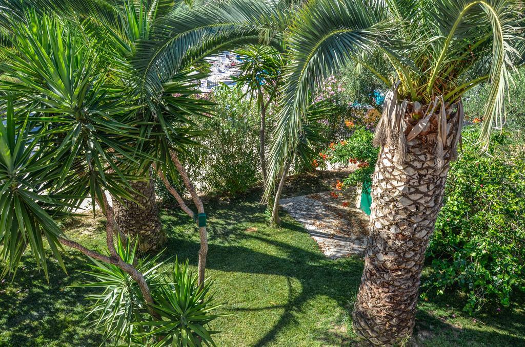 Olive Grove Apts Lithakia  Zewnętrze zdjęcie