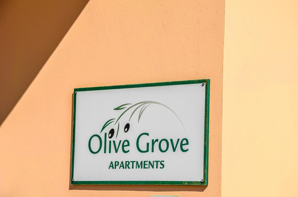 Olive Grove Apts Lithakia  Zewnętrze zdjęcie